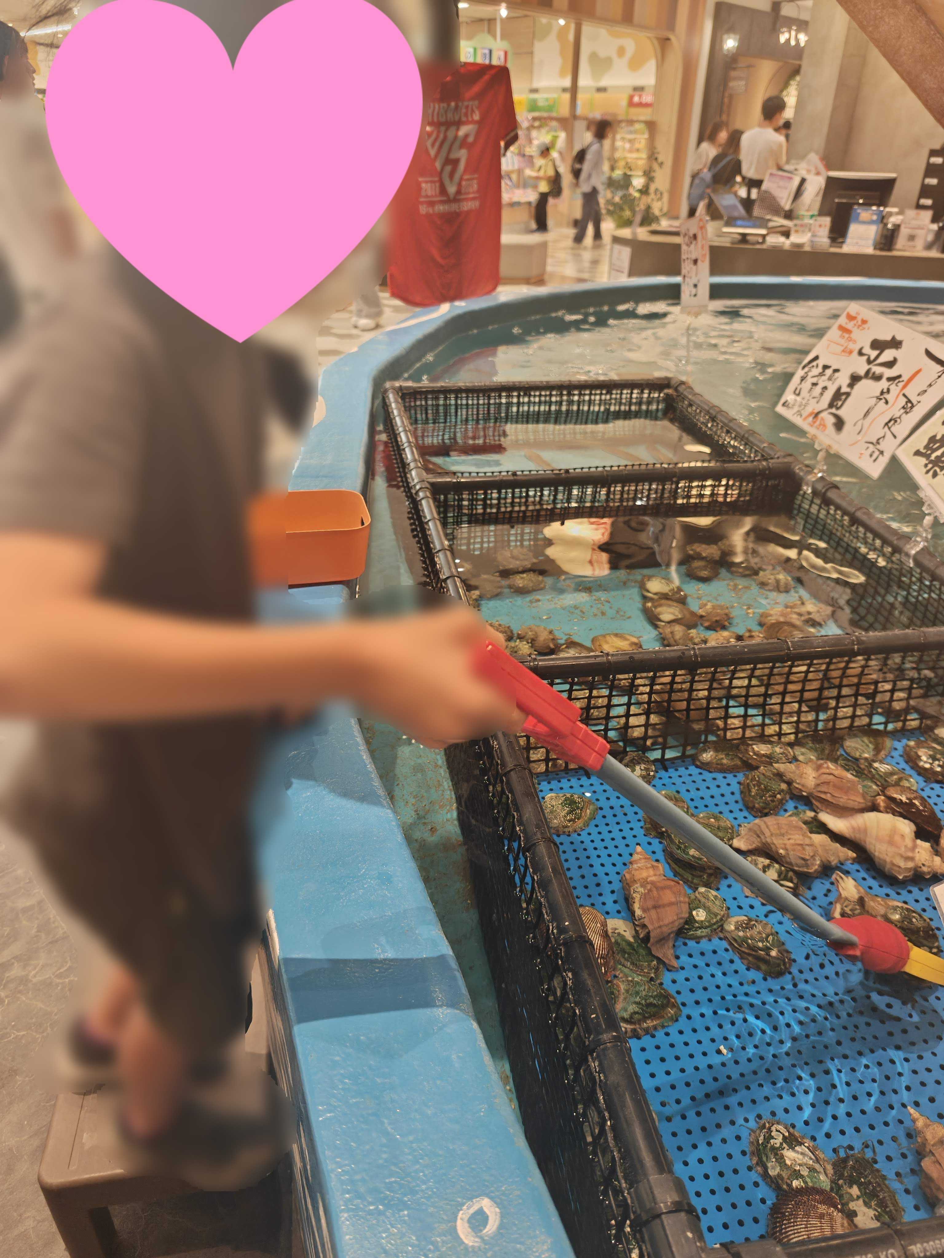 釣船茶屋ざうお ららぽーとTOKYO-BAY店 あわび釣り