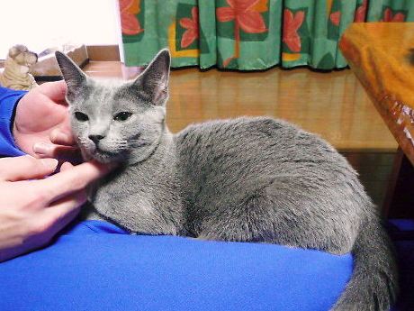 2012年11月28日_P1100872.jpg