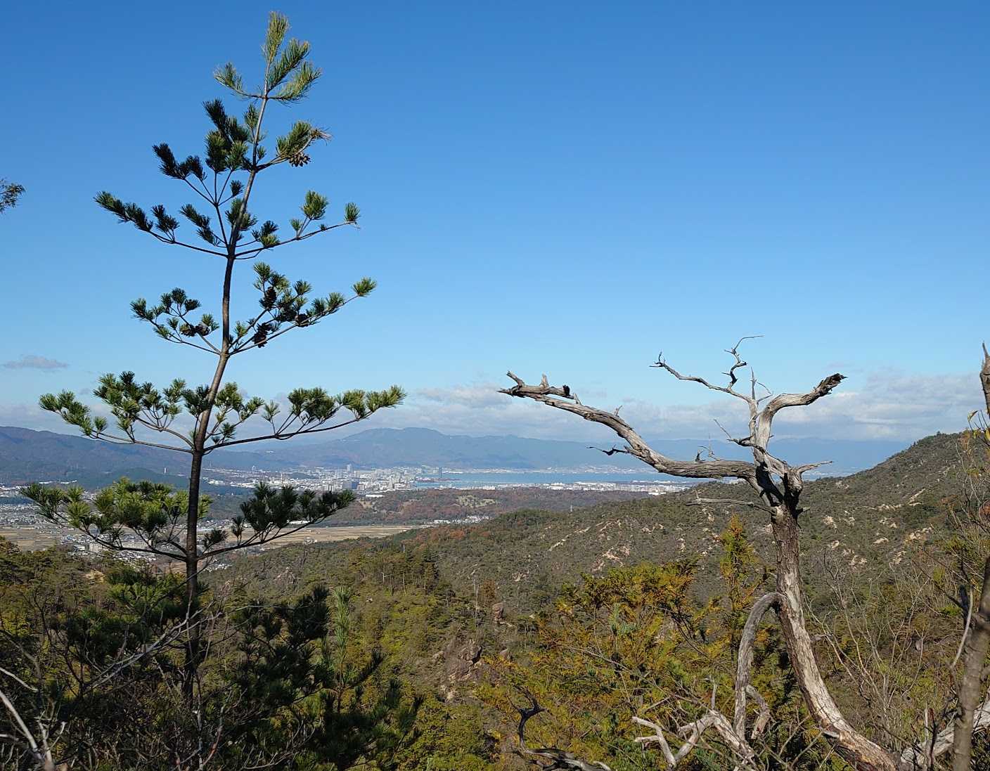 滋賀県/田上山/笹間ヶ岳産】スモーキークォーツ+atop.com.ar