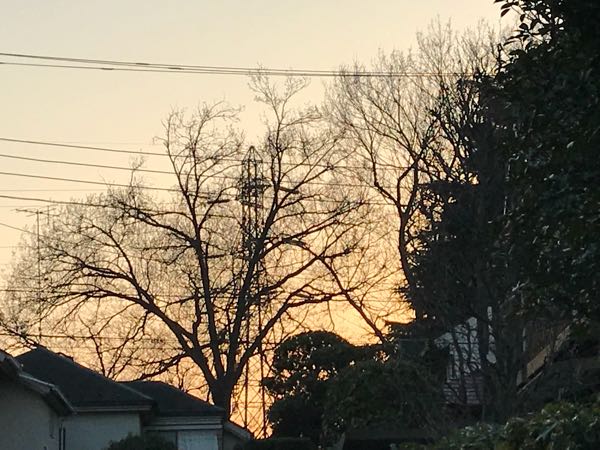 rblog-20180325191201-05.jpg
