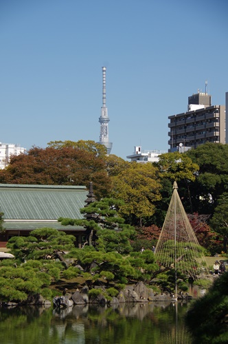 清澄庭園