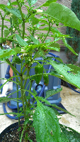 rblog-20130616160203-03.png