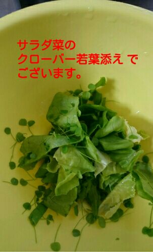 rblog-20151124160133-01.jpg