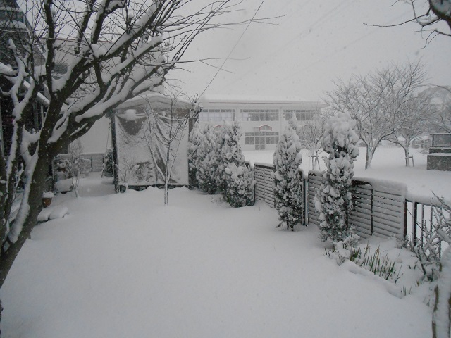 DSCN1554.JPG
