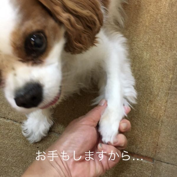 rblog-20170804205322-04.jpg