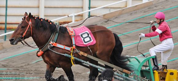 08KanesaTenryu061509Ob8R_02