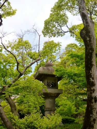 016 (375x500).jpg
