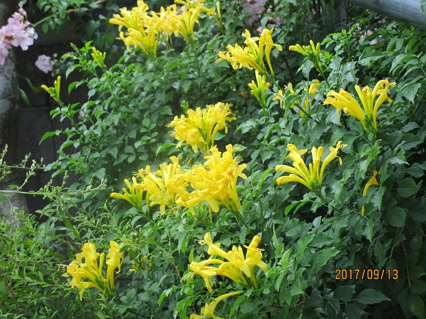 IMG_9335.JPG