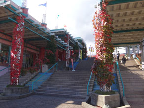 那須74.jpg