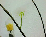 2012-12-06 14:09:29