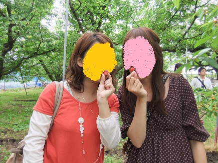 さくらんぼ狩り