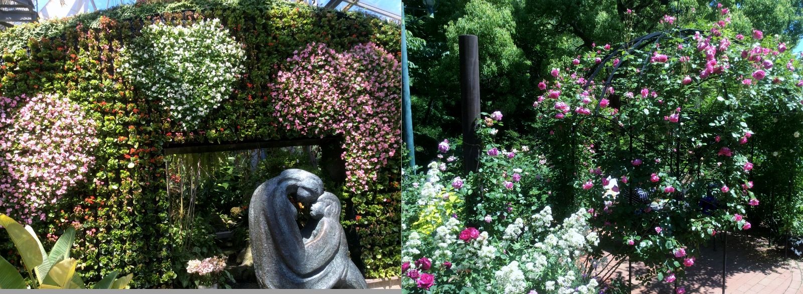 ハーブ園３.jpg