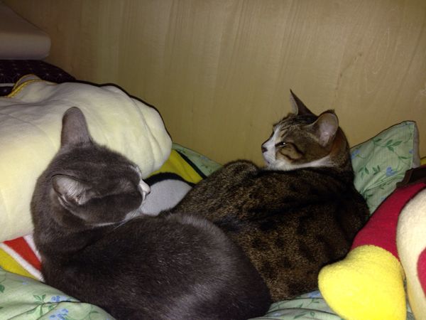 rblog-20140108141704-03.jpg