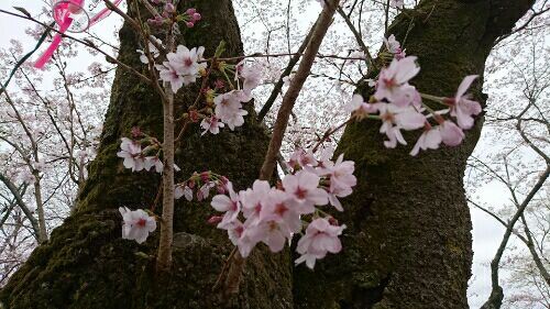rblog-20160406003550-02.jpg