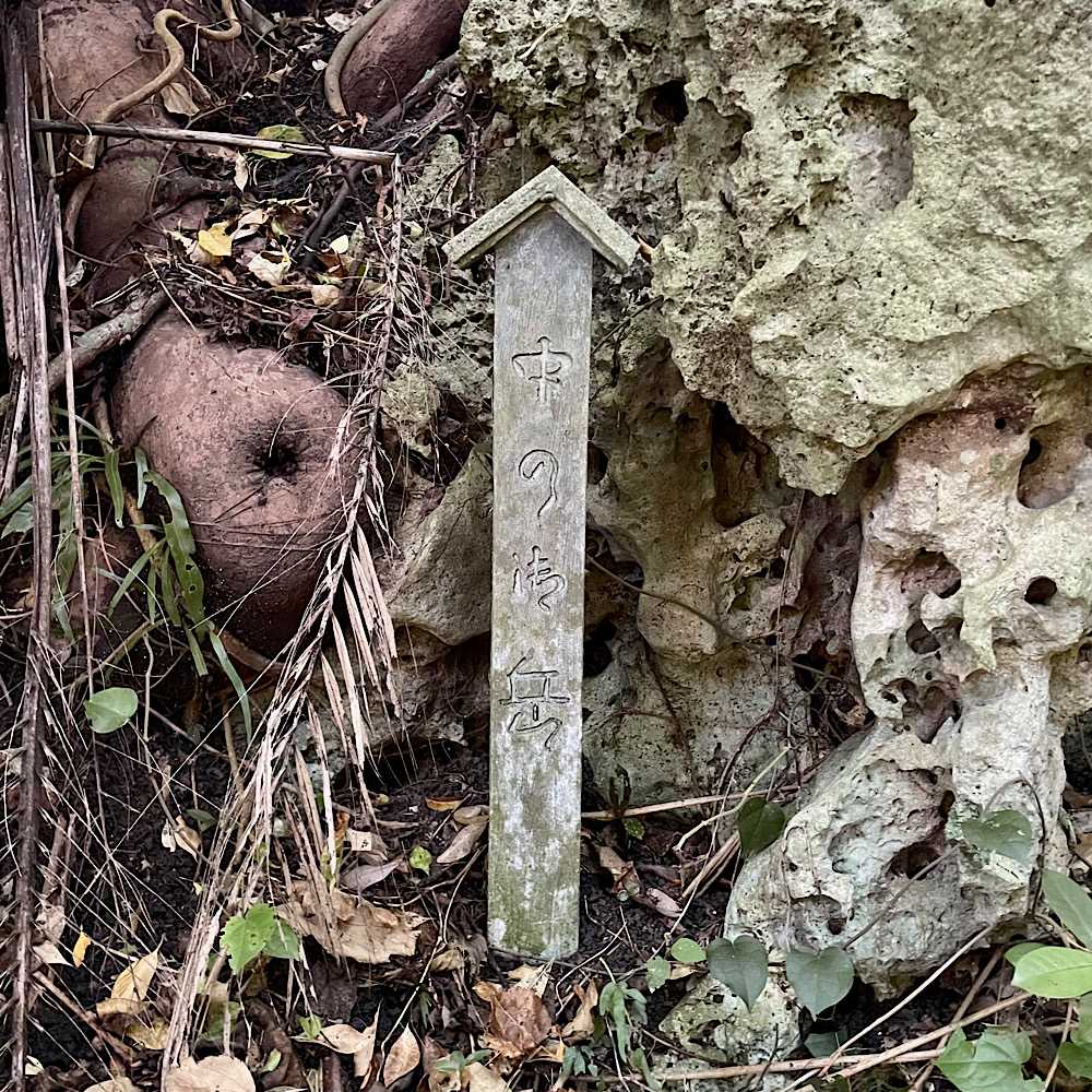 【沖縄の恵み】南国の風を感じる天然木 沖縄の恵み】南国の風を感じる天然木