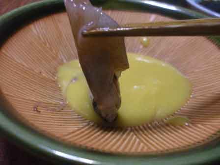 ホタルイカ3