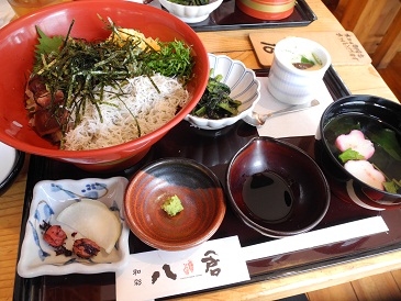 しらすと地魚丼