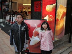 フランツ魔法のプリン お店