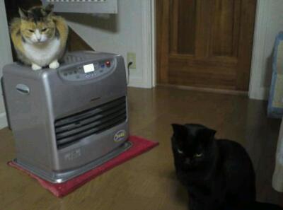 rps20130126_224536.jpg