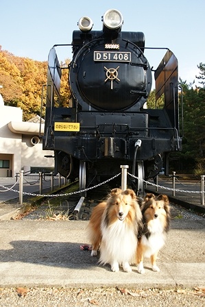DSC07483.jpg