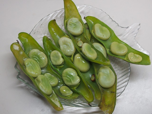 P5210004.jpg