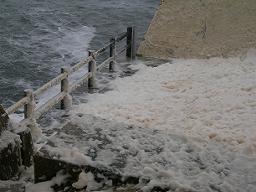 DSCN6228-w256.jpg