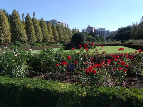 DSCF2899.JPG