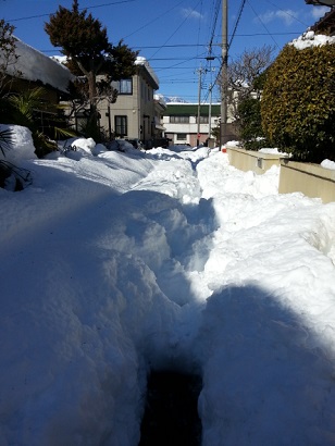 2/16 雪道