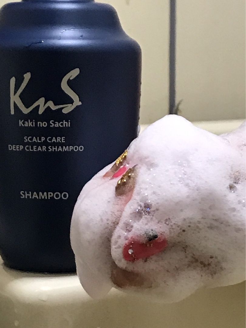 柿のさちknsスカルプシャンプー りすまりのブログ 楽天ブログ