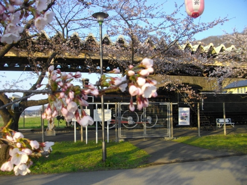 北上展勝地 (11) (500x375).jpg