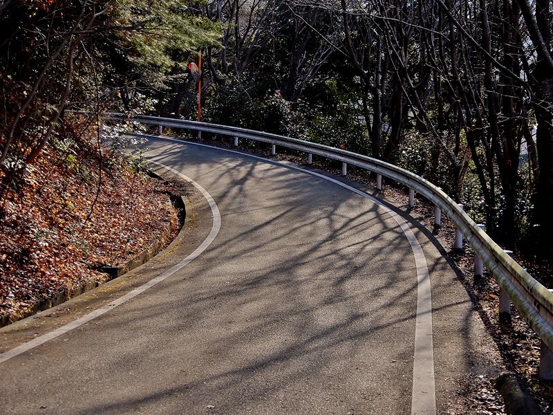 遊歩道2