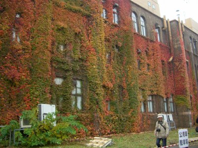 CIMG4316 (400x300).jpg
