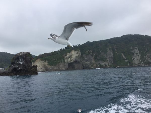 rblog-20160904172556-02.jpg