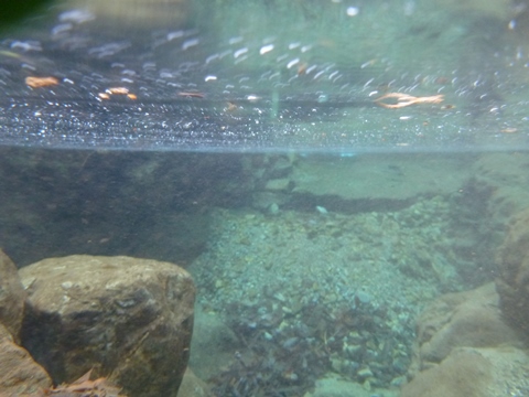 P1010563.JPG