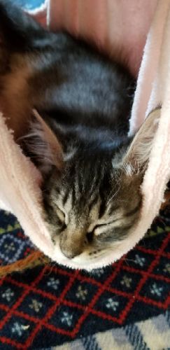 rblog-20180724134153-03.jpg