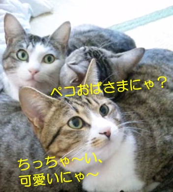 20120914_3.jpg