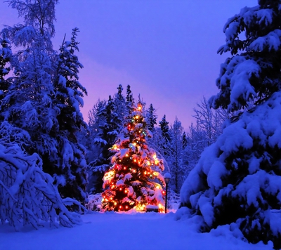 「クリスマス・イブ（Christmas Eve）」 | 新宿福興教会のホームページ - 楽天ブログ