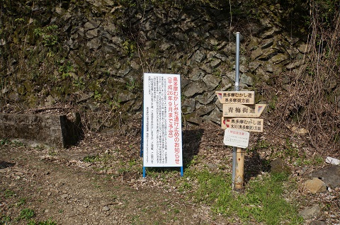 DSC05657.JPG