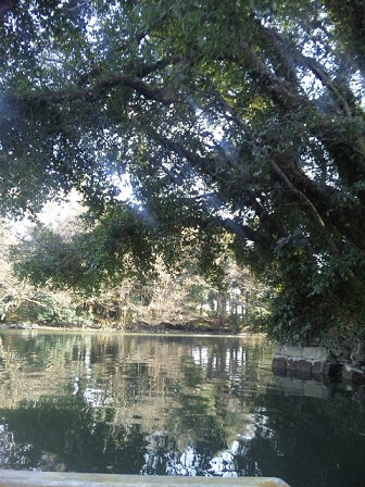 柳川下りその11