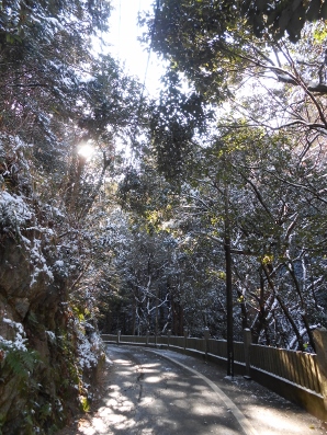 狸谷山不動院