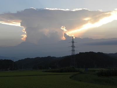 DSCN9769.jpg