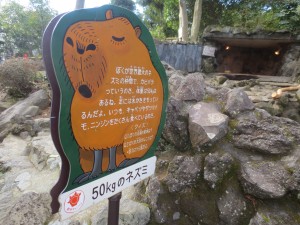 カピバラ
