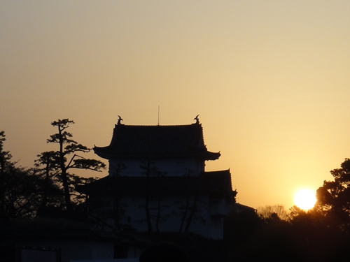 2015さくら道国際ネイチャーラン06