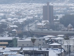 DSCF0323.JPG