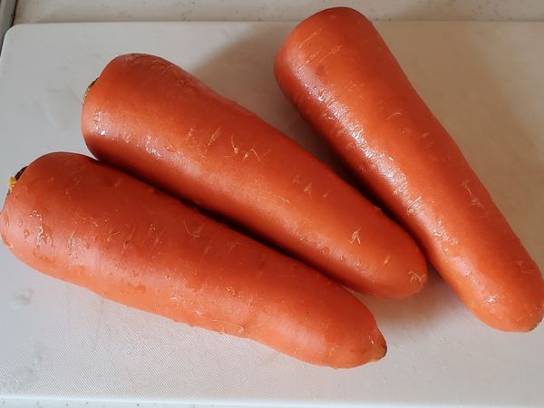 乗馬 悠々自適 楽天ブログ