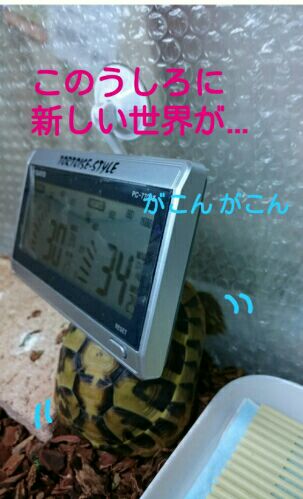 rblog-20151121205433-02.jpg