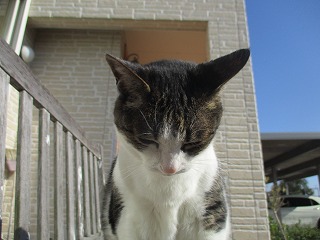 IMG_5741ss.jpg