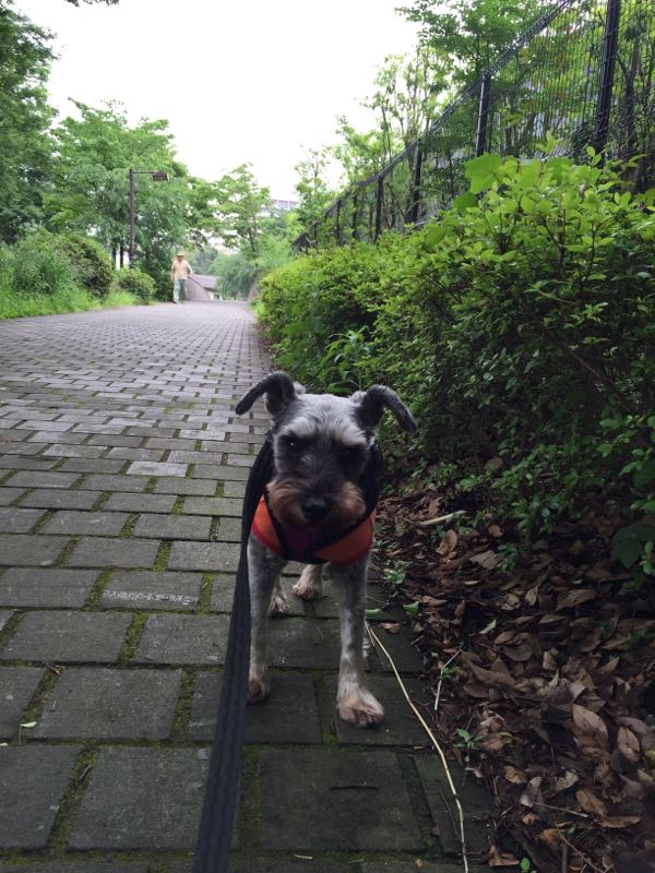 rblog-20160529053651-03.jpg
