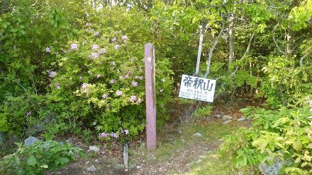 帝釈山 淡河 Nozogry の Mtb など 楽天ブログ