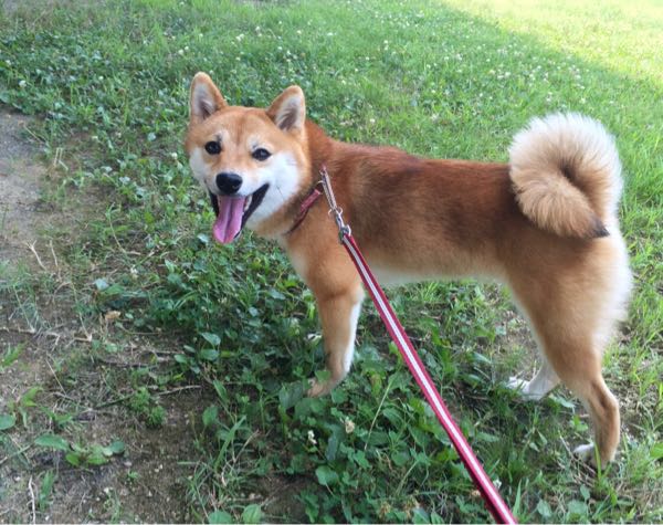 rblog-20160723223834-03.jpg